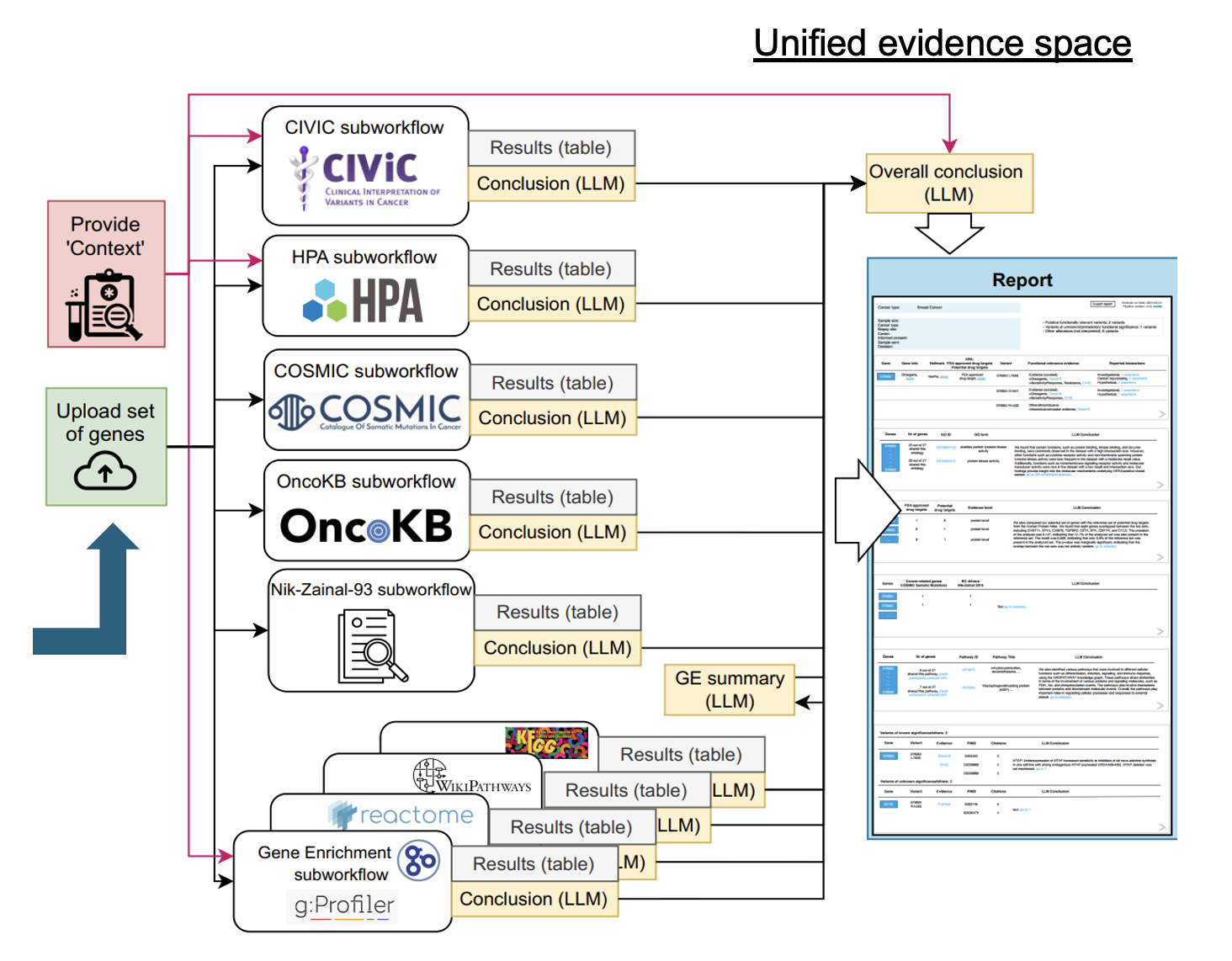 Gene Analysis Figure